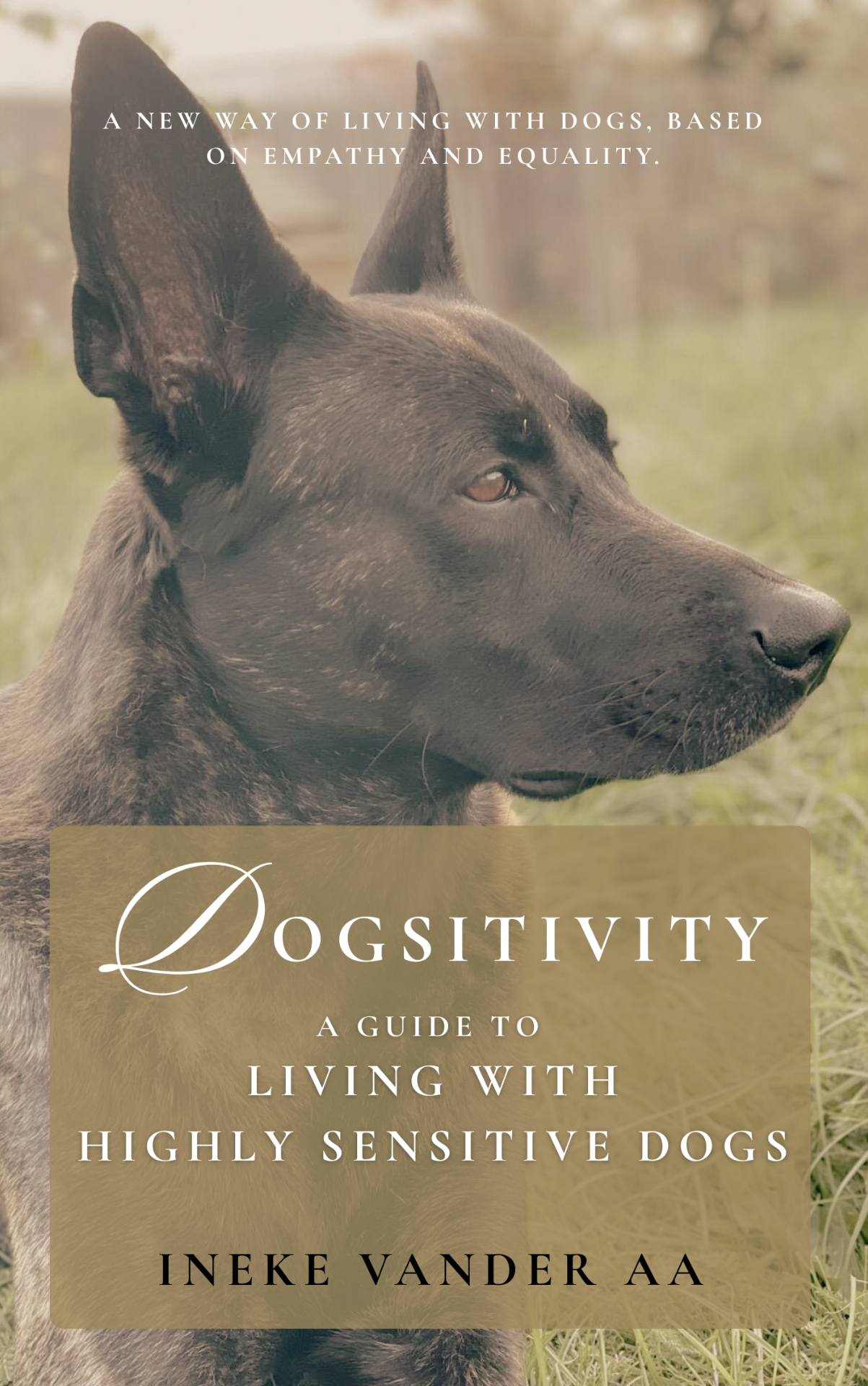 Dogsitivity