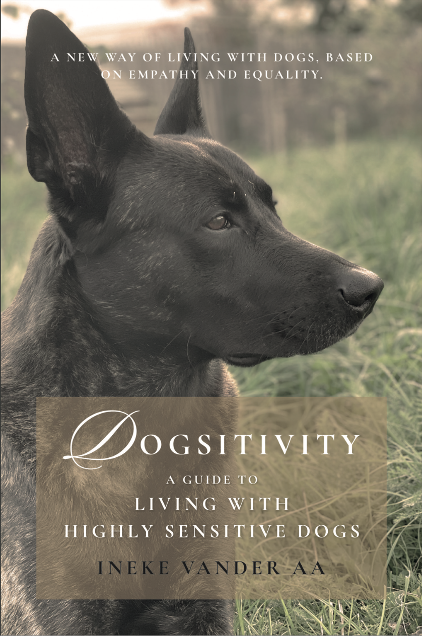 Dogsitivity